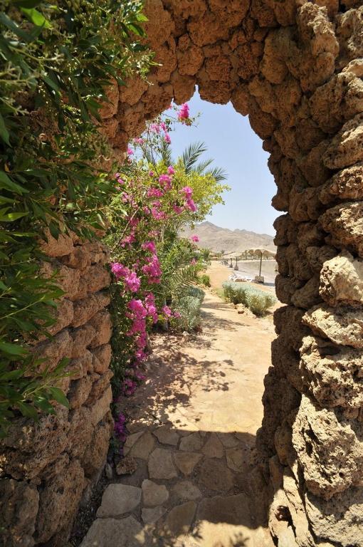 فندق Helnan طابا المظهر الخارجي الصورة